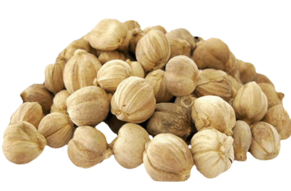 White Cardamom from Indonesia